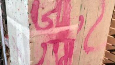 'Jai Shree Ram' painted on UP mosque,Holi colours thrown despite tarpaulin cover