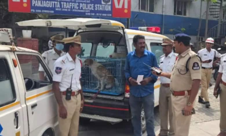 Man booked for using ambulance with sirens to transport dog in Panjagutta