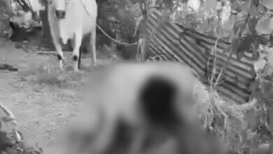 Man held for trying to kill woman’s mother over marriage refusal in Karimnagar