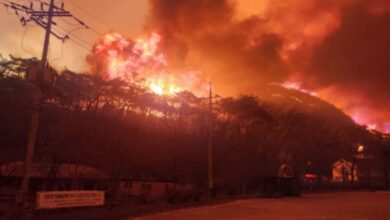South Korea Wildfire