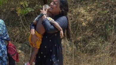 Three of a family die after their car falls inside SRSP canal in Warangal district on Saturday.