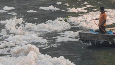 23 Yamuna sites fail water quality test, says Parliamentary panel
