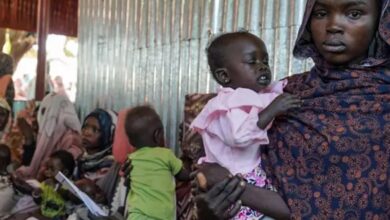 Sudan crisis: Families eat animal feed amid severe famine