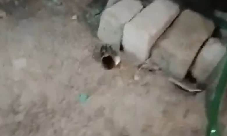 Beer bottles found at mosque in Miyapur during Shab-e-Qadr