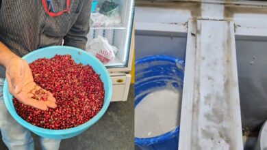 juice centers in Gachibowli raided