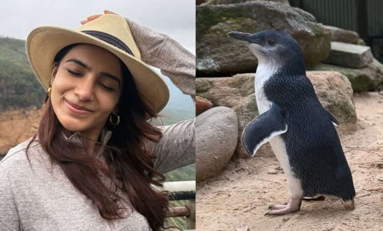 Samantha shows her love for wildlife during her Australia vacation