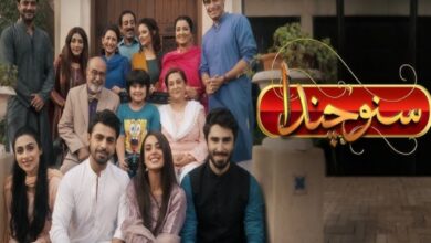 Pakistani drama Suno Chanda season 3: Premiere date, actors, more