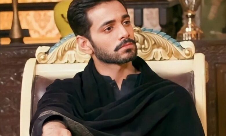 Meet 3 top Pakistani actors who are in 3 Billion views club