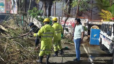 The image shows HYDRAA's DRF personnel removing a fallen tree in front of Saroornagar police station after the heavy rain on Friday evening, April 18, 2025.