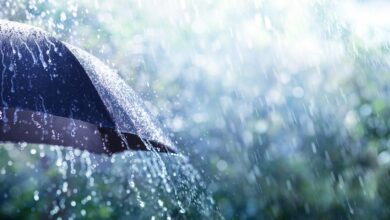 Representational Image of rains in Hyderabad