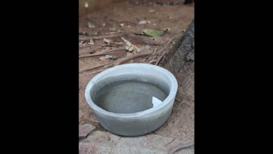 A bowl full of Water