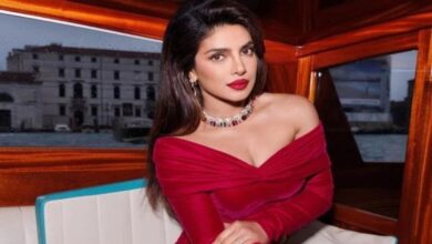 How much is Priyanka Chopra charging for a Bollywood film in 2025?