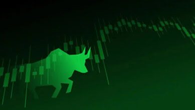 Bulls in stock market.