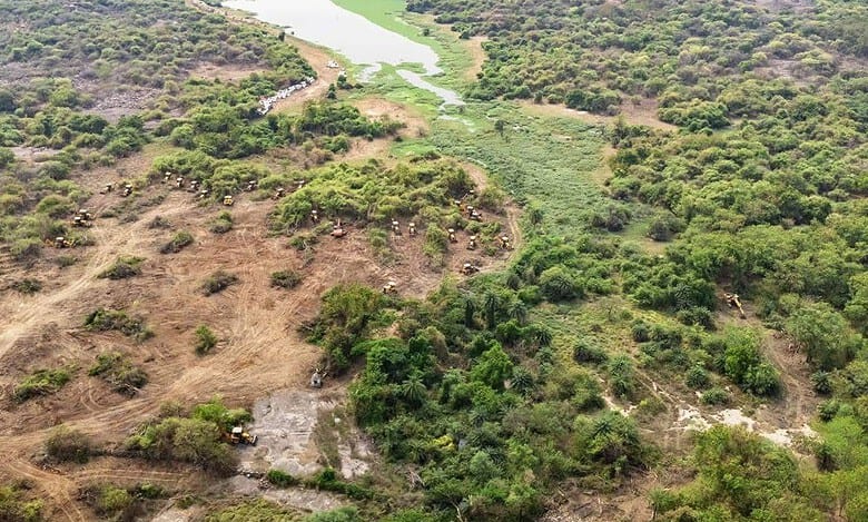 Expect ecological crisis if Kancha Gachibowli forest is razed down, says report