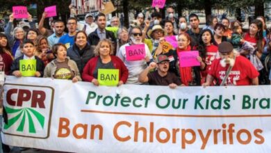 Pesticides Action Network (PAN) India to advocate for action against Chlorpyrifos at BRS COP to be held at Geneva from April 28 to May 9.