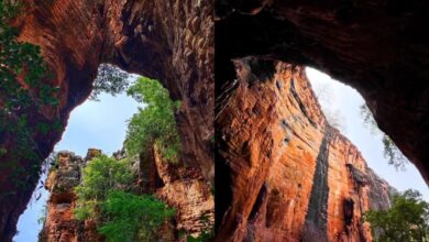 Just 280 km from Hyderabad lie Billasurgam Caves older than time