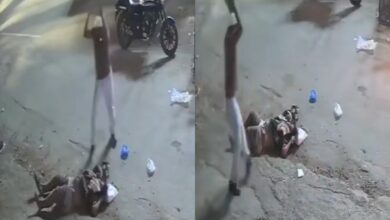Pregnant woman critical after husband attacks her with stone in Hyderabad