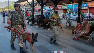 Indian troops patrol a busy market street in Srinagar, Jammu and Kashmir, with sniffer dogs and rifles, as civilians observe, amid heightened security following recent attacks.