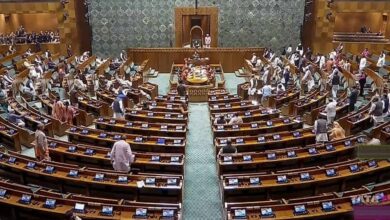 Parliament security breach