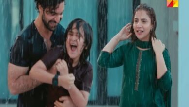 Check out Pakistani drama Meem Se Mohabbat last episode date