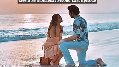 Meem Se Mohabbat last episode: When and where to watch in India