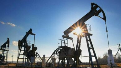 Oil pump jacks operating at a petroleum extraction site during sunset with clear blue sky.