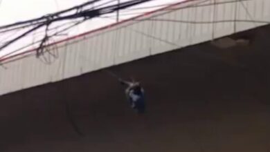 Man falls from Hyderabad’s PVNR expressway.