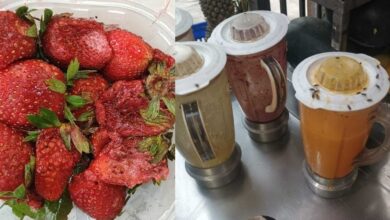 Rotten strawberries and a juice jar covered with flies, documenting unhygienic conditions found during Hyderabad juice center raids.