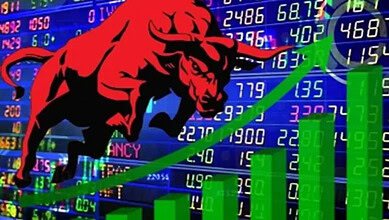 Bulls in Indian stock market