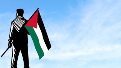 A man waving a Palestine flag against a backdrop of the sky.