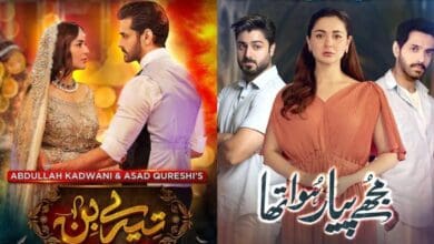 Tere Bin and Mujhe Pyaar Hua Tha posters