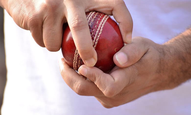 Representational Image of man holding cricket ball
