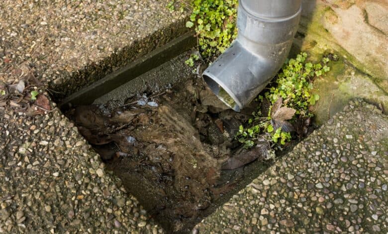 Representational Image of drain works