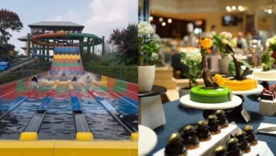 6 Last-minute events to celebrate Mother's Day 2025 in Hyderabad