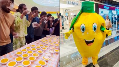 Jo Chaahe Mango festival