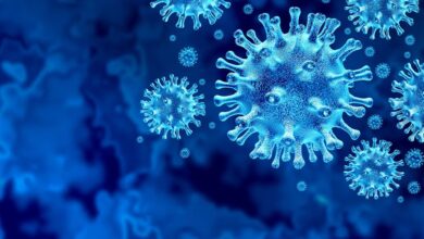 The image displays a picture of COVID-19 virus