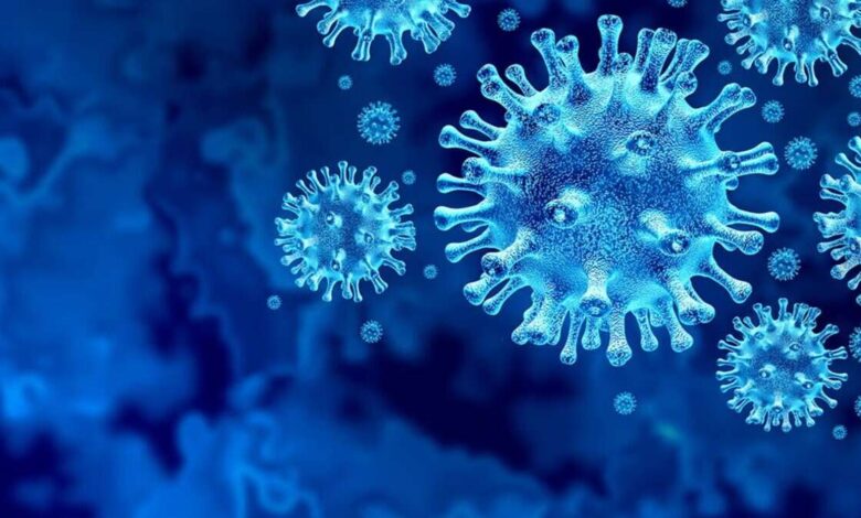 Representational Image of Hantavirus