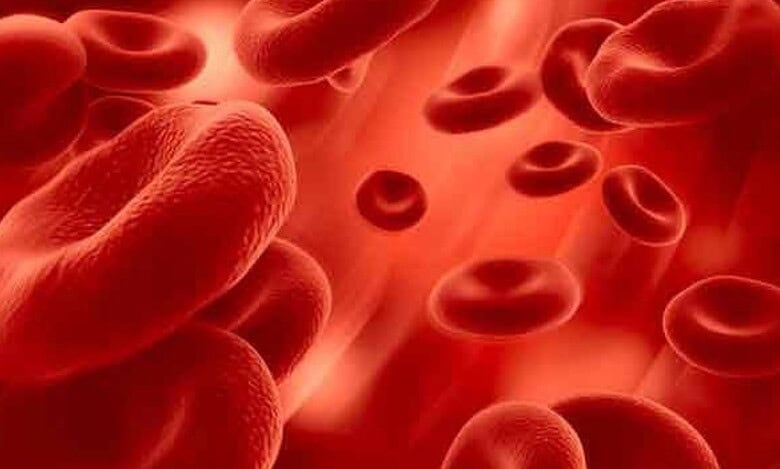 An Image of Red Blood Cells