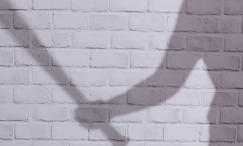 Representational Image of man holding a stick