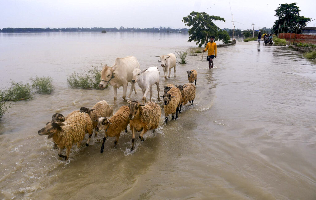 Flood in Assam