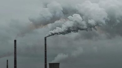 Carbon