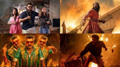 Indian cinema’s 2025 box office