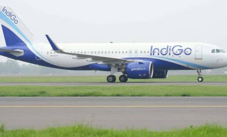 Indigo