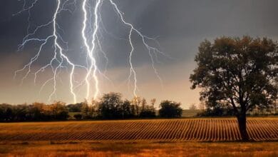 Six farmers including five women killed in lightning strikes in Adilabad district on Thursday, June 12, 2025.