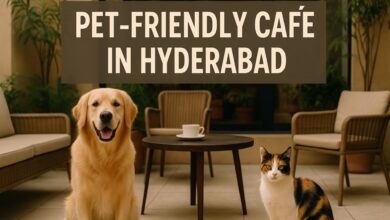 Pet-friendly cafes in Hyderabad (Image Source: AI Generated Representational Image)