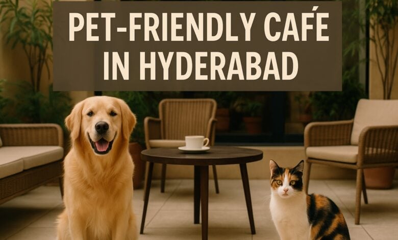 Pet-friendly cafes in Hyderabad (Image Source: AI Generated Representational Image)
