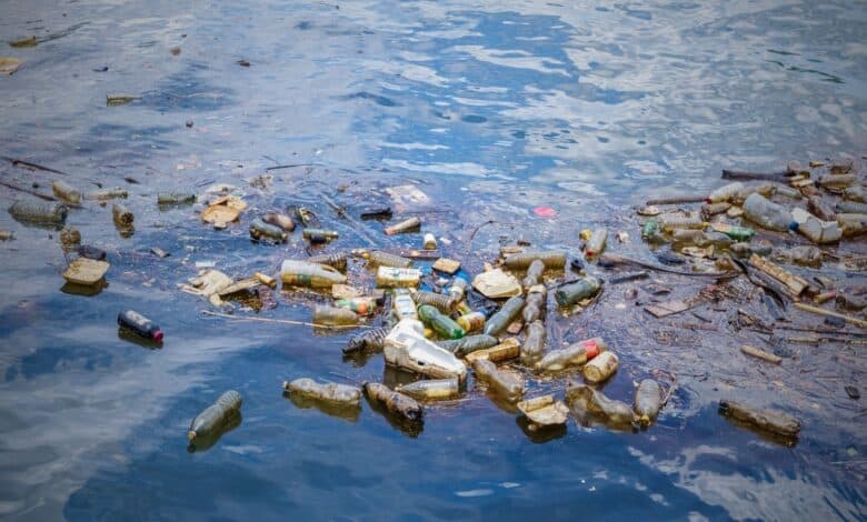Plastic waste floats in a water body for a story on plastic ban in Hyderabad