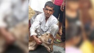 Two-headed, three-eyed calf born in UP; villagers flock to worship ‘miracle’