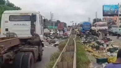The image displays a picture of an overturned truck and scattered mangoes