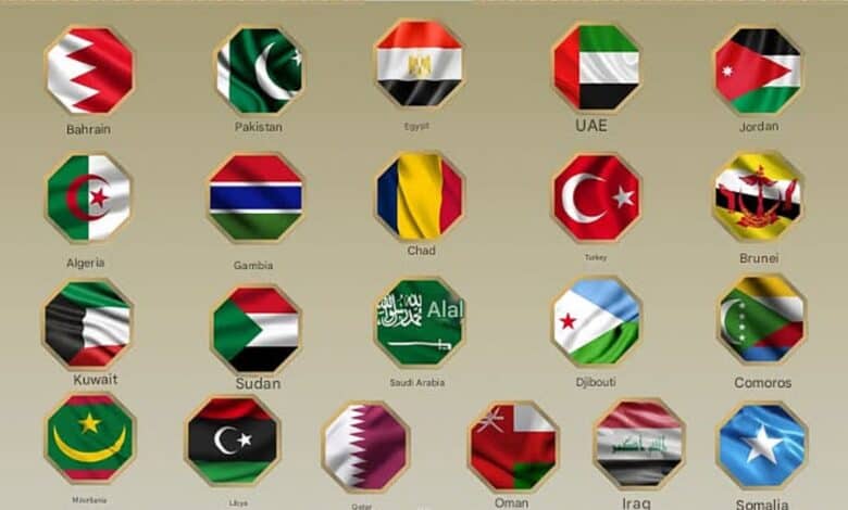 21 Muslim majority countries call for halt to Israeli strikes on Iran
